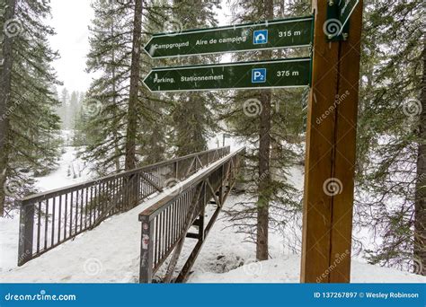 Snowy Signs stock image. Image of parkway, parking, tree - 137267897