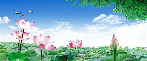 Nature Background Banner