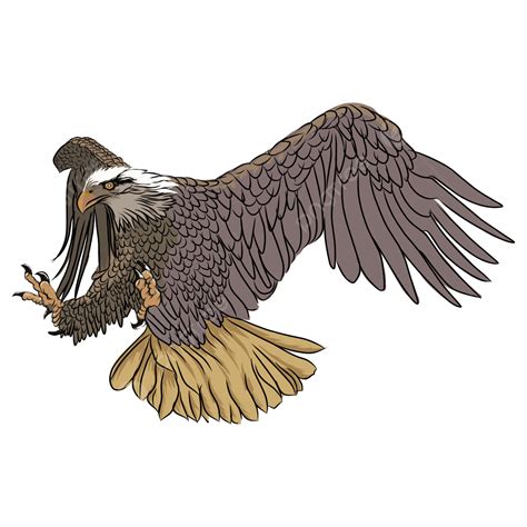 Eagle Drawing Pictures Free - Infoupdate.org