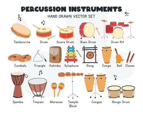 Percussion instruments vector set. Simple cute tambourine, drums, cymbals, conga, bongo, marac ...