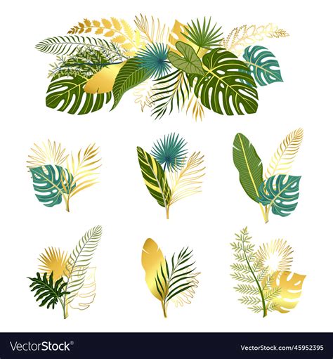 Tropical leaves set Royalty Free Vector Image - VectorStock