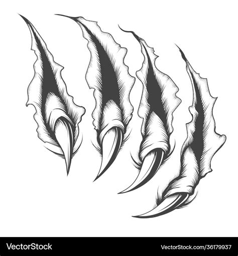 Claw scratch engraving tattoo Royalty Free Vector Image