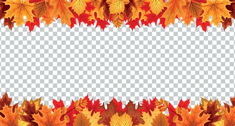 Autumn leaves border frame with space text on transparent background. Can be used for ...