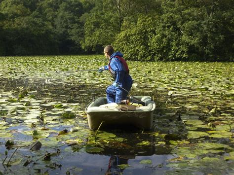 How To Kill Pond Weeds