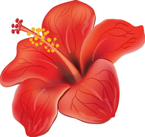 Moana clipart flower puerto rico, Moana flower puerto rico Transparent FREE for download on ...