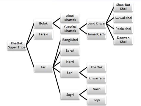 File:Khattak family Tree.jpg - Wikimedia Commons