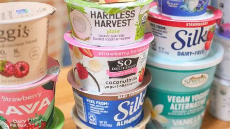 30+ Best Vegan Yogurt Brands (Ultimate Guide) | World of Vegan