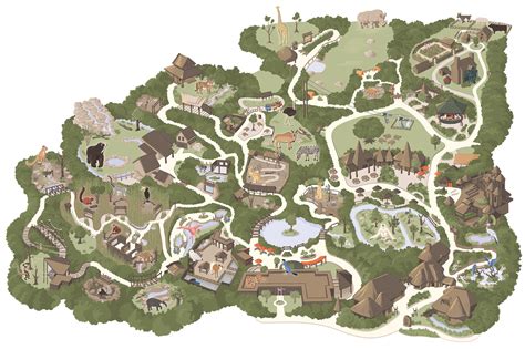 Making the Nashville Zoo Map — Carden Illustration