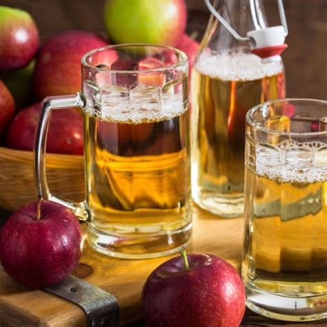 Hard Apple Cider Beer Recipe | Dandk Organizer