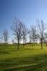 Picture viewer - Fluorescent tubes under power lines