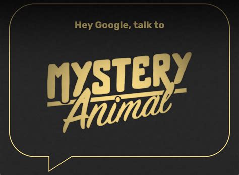 Mystery Animal Guessing Game - Fun with Research! - Lessons by Sandy