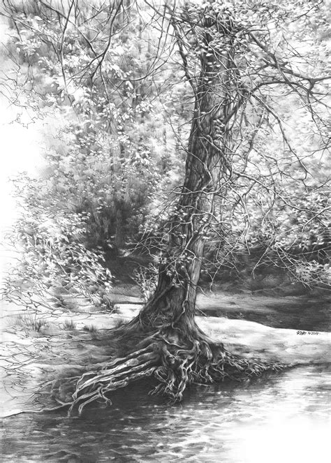 Tree Pencil Drawing