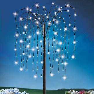 Outdoor Tree Lights Solar - VisualHunt