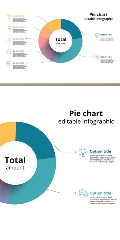 Colorful Pie Chart Infographic