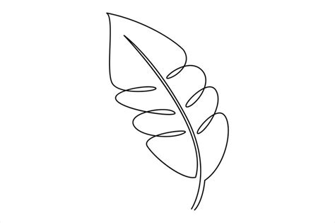 Premium Vector | Continuous one line drawing of Leaf outline vector art illustration isolated on ...