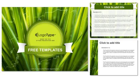 Green Leaves-Nature PowerPoint Templates