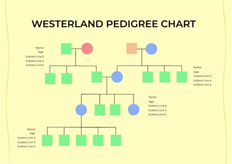 FREE Pedigree Chart Templates & Examples - Edit Online & Download | Template.net