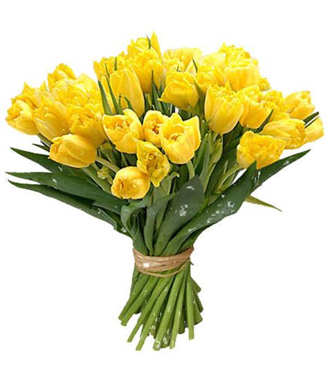 Bouquet Flower PNG Free Download | PNG All