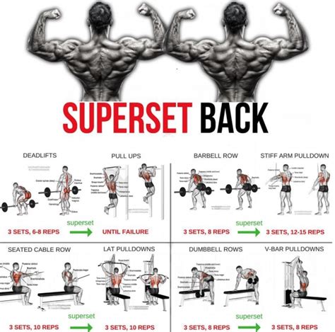 Superset Back! Best Lat Workout Plan 2018 - Yeah We Train ! - Workouts, Exercises & More