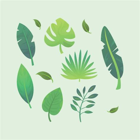 Beautiful tropical leaves vector 23802910 Vector Art at Vecteezy