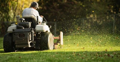 How to Find the Best Grass Cutting Service in Toronto