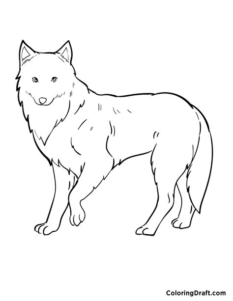 Arctic Fox Coloring Pages - ColoringDraft.com