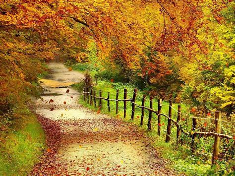 Beautiful Autumn Scenery Wallpapers - Wallpaper Cave