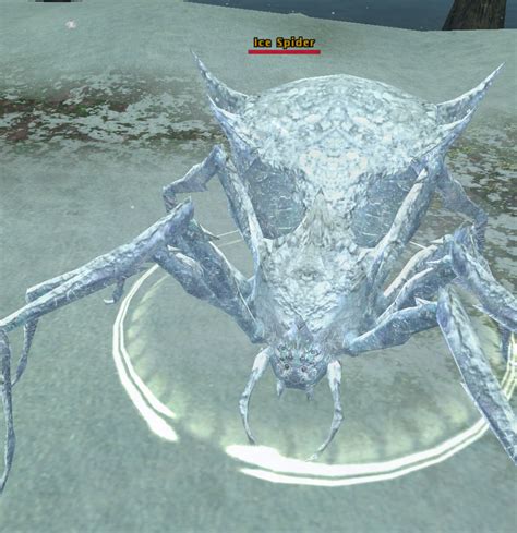 Ice Spider - DDO Compendium