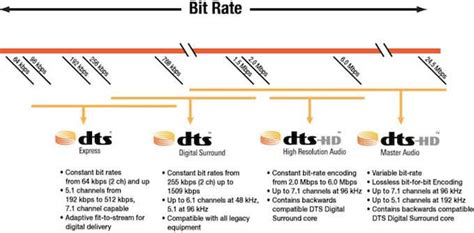 DTS vs. Dolby Digital: What’s Different and What’s Similar