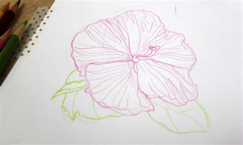 Pencil Shading Drawing Flowers - This is a popular way to draw, and today this article will show ...