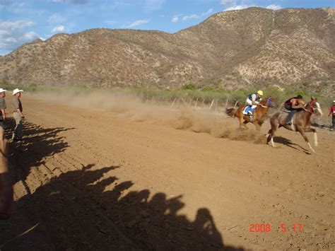 LA RADIOLA DE HERNAN: LO MEJOR DE CORRIDOS DE CABALLOS