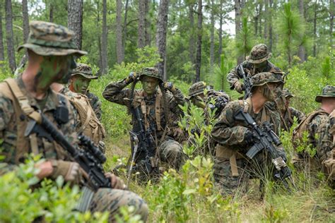 DVIDS - Images - 1st Battalion 6th Marine Regiment Field Exercise [Image 8 of 20]