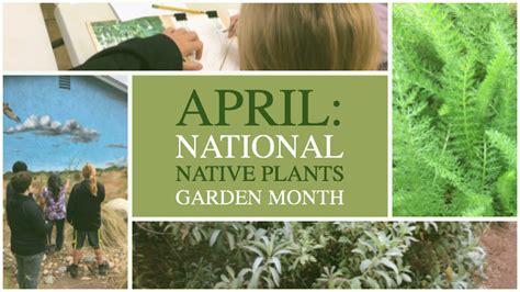 April: National Native Plants Garden Month