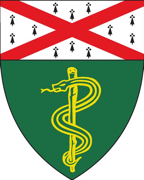 Yale School of Medicine Logo Vector - (.Ai .PNG .SVG .EPS Free Download)