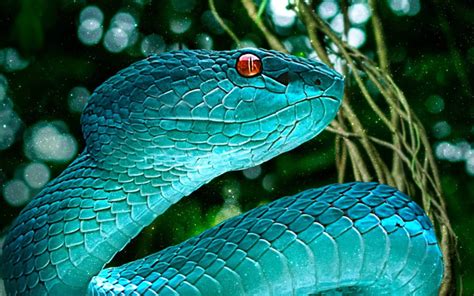 Download Blue Snake With Red Eyes 3d Animation Wallpaper | Wallpapers.com