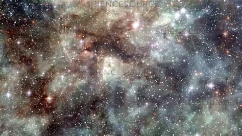 Video Tarantula Nebula | Science Source Images