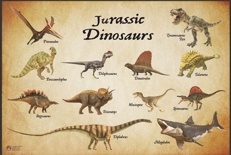 Buy Universal Specialties Jurassic Era Dinosaur Large Detailed ...