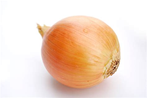 File:Onion white background.jpg - Wikimedia Commons