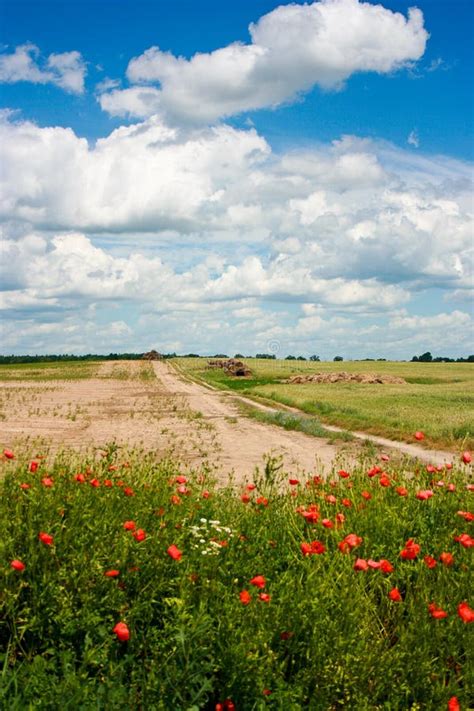 Rural landscape stock photo. Image of landscaped, grow - 14203916