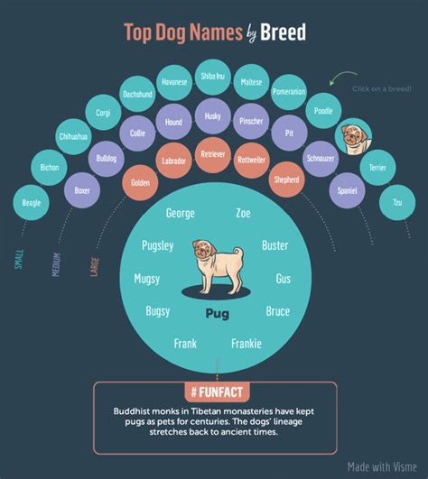 Simple animated infographics examples - tecfess