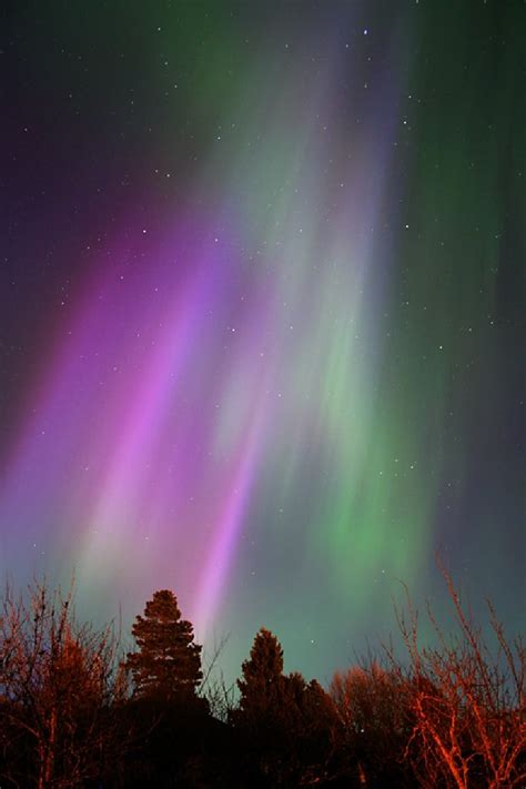 CME impacts Earth's magnetic field triggering severe geomagnetic storm - insane aurora pictures ...