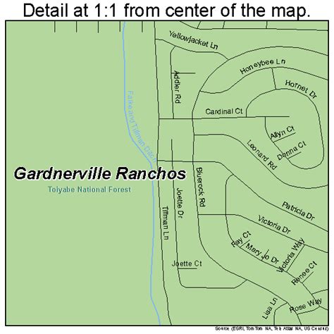 Gardnerville Ranchos Nevada Street Map 3226500