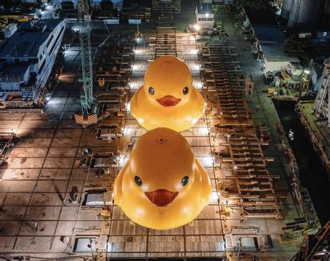 DOUBLE DUCKS: The Giant rubber ducks are back in Hong Kong after a decade | LIFTED Asia