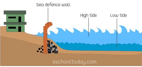 How To Prevent Or Reduce Flooding - Documentride5