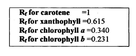 Lab 4 Plant Pigments - BIOLOGY JUNCTION