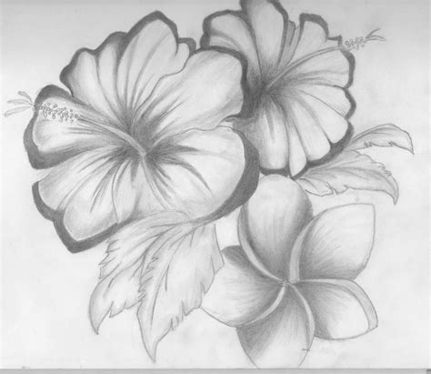 Easy Pencil Shading Drawings Of Flowers - pencildrawing2019