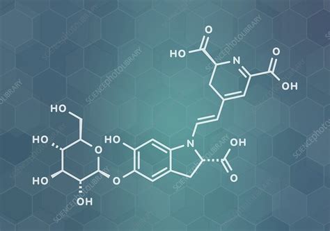 Betanin red plant pigment molecule, illustration - Stock Image - F030/5012 - Science Photo Library