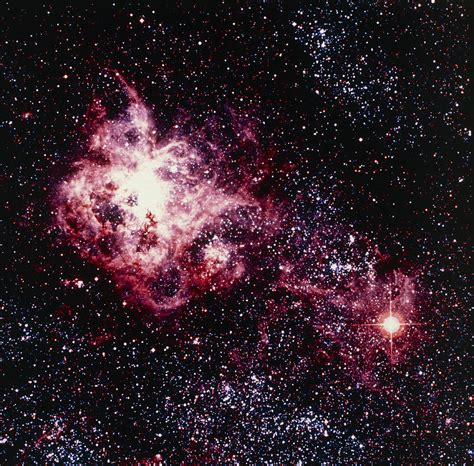 Optical View Of Supernova 1987a & Tarantula Nebula Photograph by Celestial Image Co.