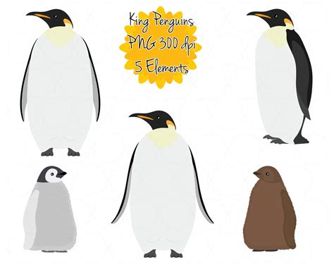 King Penguin Clipart Penguin Clip Art Penguin Baby Graphic Png Penguin Printable Instant ...