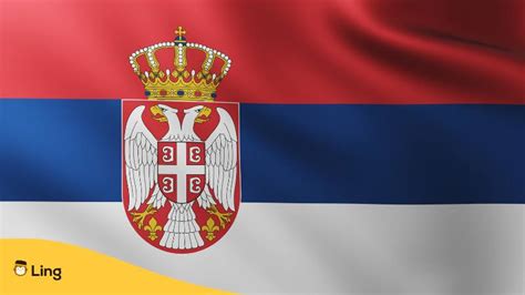 Serbian Flag: 3 Useful Facts You Need To Know - ling-app.com